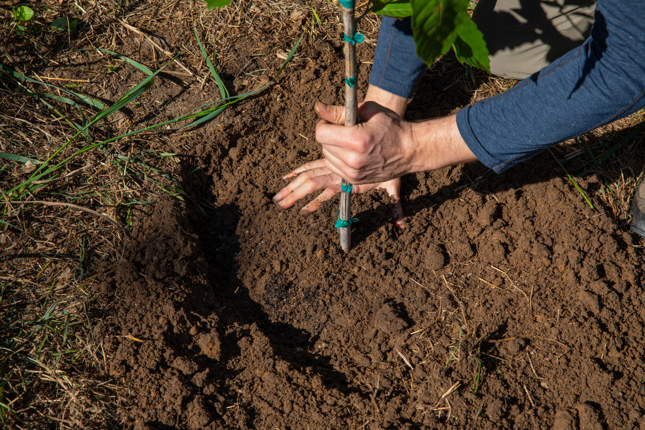 Difference Between Wet Soil And Dry Soil