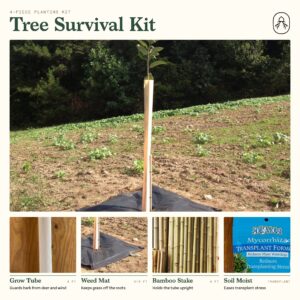 Tree Survival Kit Bulk Packs